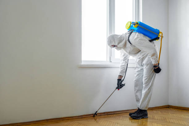 Best Residential Pest Control  in Klamath Falls, OR