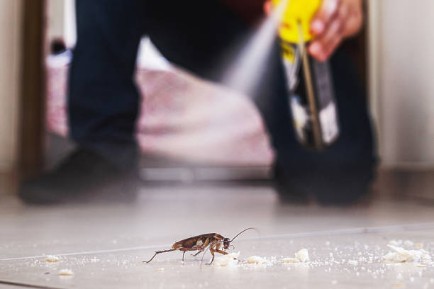 Pest Control for Restaurants in Klamath Falls, OR